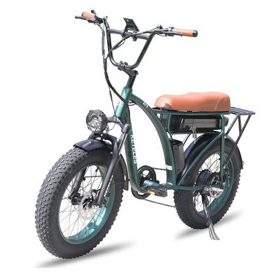 23AH Capacità della batteria 1000W 2000W Motore 20 pollici Fat Bike Electric Bike Supporto personalizzato