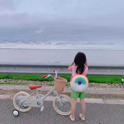 Cerchiera in lega INS stile 16 pollici Retro Bicicletta per bambini a velocità singola per bambini di 4-8 anni