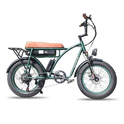 23AH Capacità della batteria 1000W 2000W Motore 20 pollici Fat Bike Electric Bike Supporto personalizzato