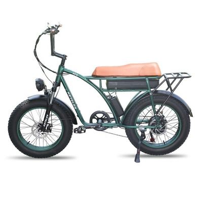 23AH Capacità della batteria 1000W 2000W Motore 20 pollici Fat Bike Electric Bike Supporto personalizzato