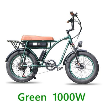 48V 23Ah Batteria al litio Bicicleta elettrica con freno a disco meccanico e motore potente