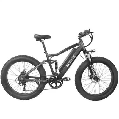 48V 250W Motor Electric Mountain Bike con batteria al litio da 10AH e batteria integrata