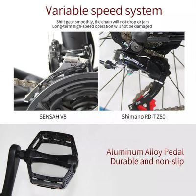 48V 250W Motor Electric Mountain Bike con batteria al litio da 10AH e batteria integrata