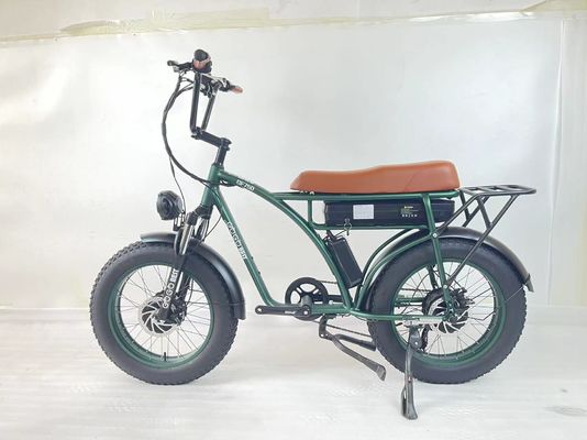 Bicicleta elettrica a doppio motore da 2000 W con posizione del motore del mozzo posteriore e tempo di ricarica di 3 ore