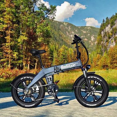 Bicicletta da montagna pieghevole elettrica Pneumatici pesanti in acciaio per tutti i terreni