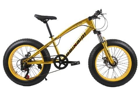 Bici da neve da spiaggia da 20 pollici per bambini 4.0 gomma grassa Bici da montagna con 7/21/24/27 velocità