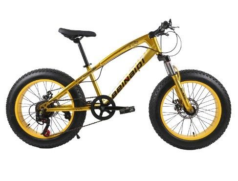 Bici da neve da spiaggia da 20 pollici per bambini 4.0 gomma grassa Bici da montagna con 7/21/24/27 velocità